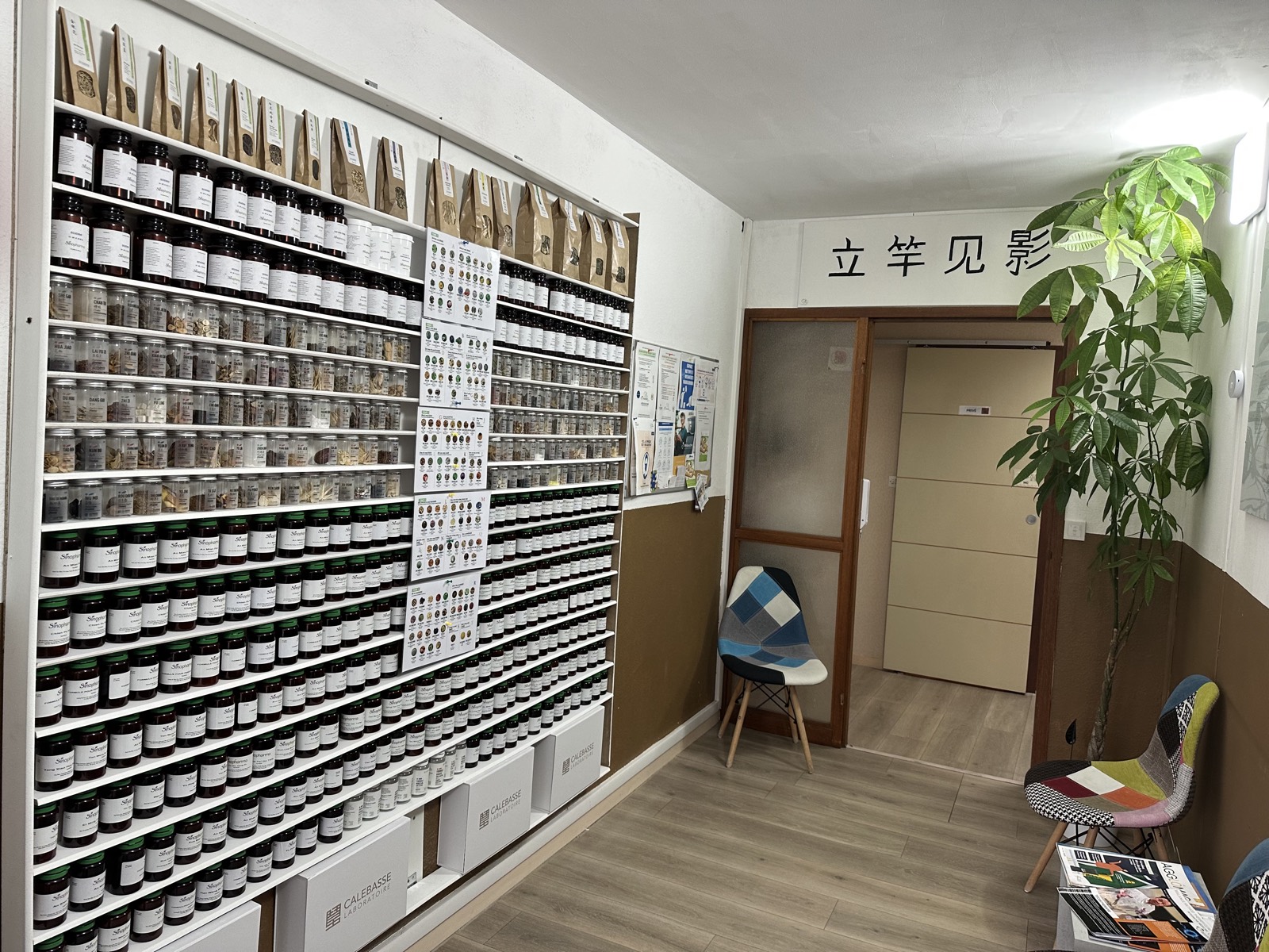 Mur de pharmacopée du cabinet : centaines de bocaux de plantes médicinales chinoises classées