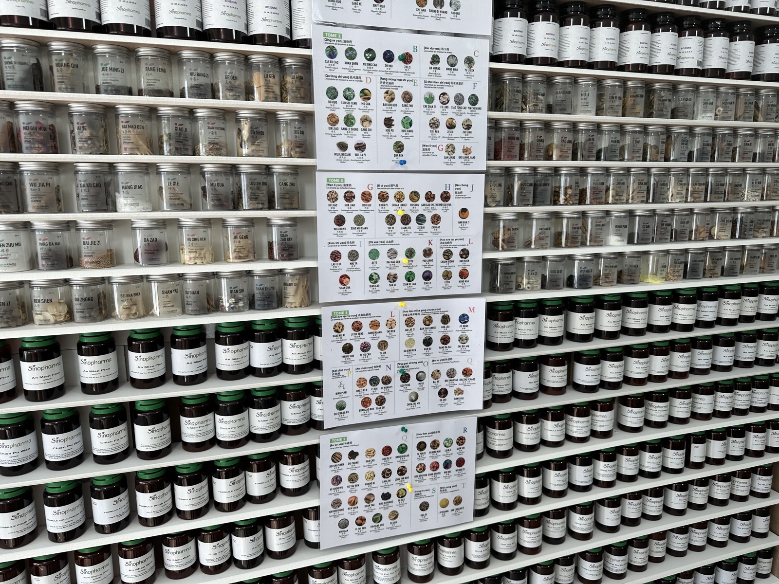 Gros plan des bocaux de plantes médicinales chinoises et des planches d'identification
